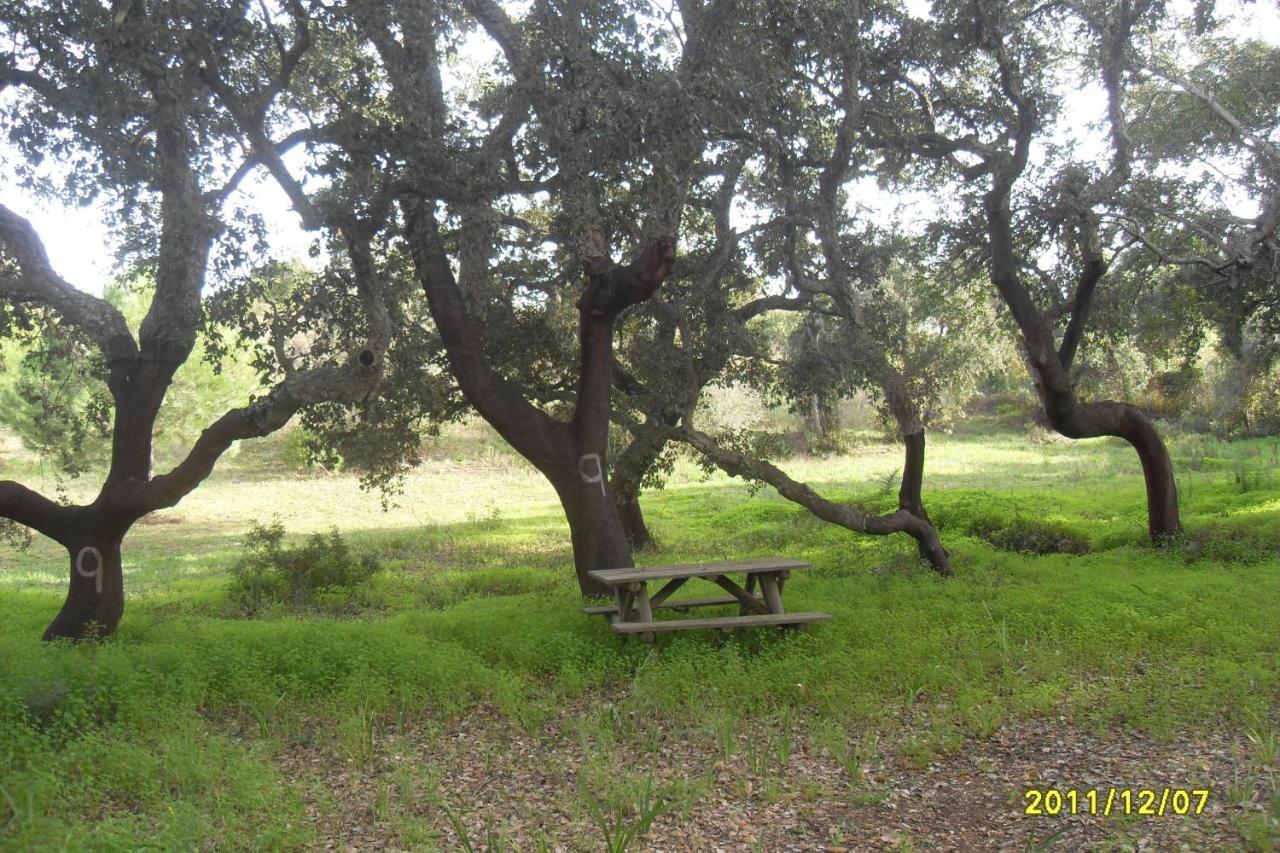 Monte Das Areias Casa De Campo/Passadico/Pateo/Rampa Porches  Zewnętrze zdjęcie
