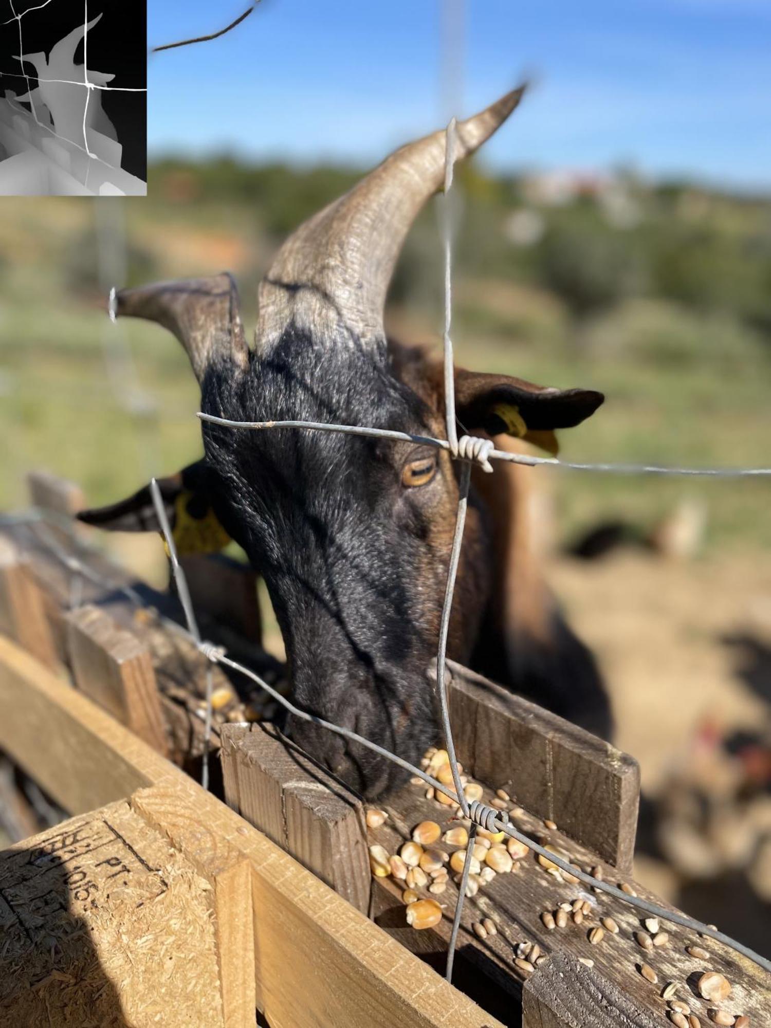 Monte Das Areias Casa De Campo/Passadico/Pateo/Rampa Porches  Zewnętrze zdjęcie