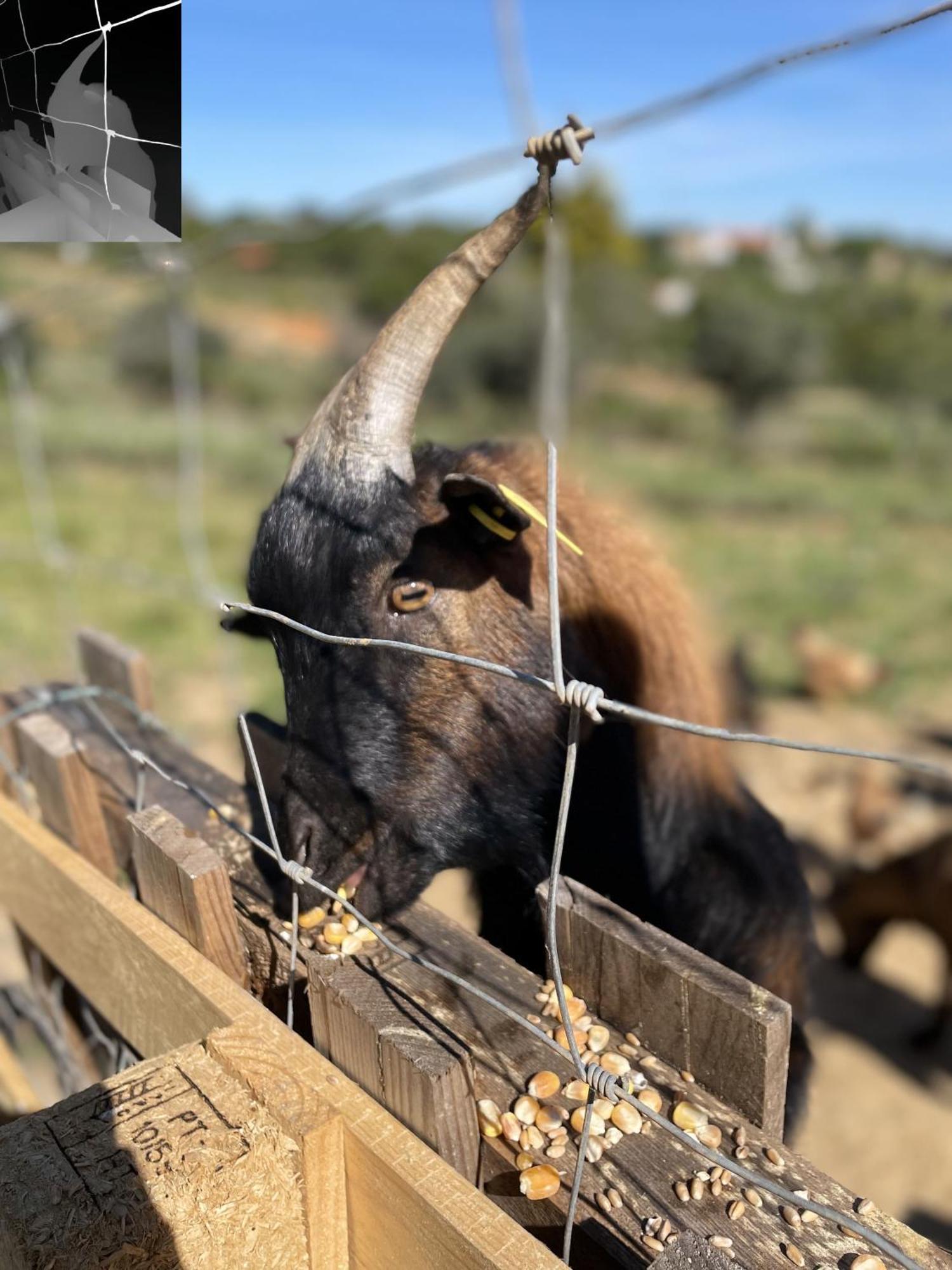 Monte Das Areias Casa De Campo/Passadico/Pateo/Rampa Porches  Zewnętrze zdjęcie